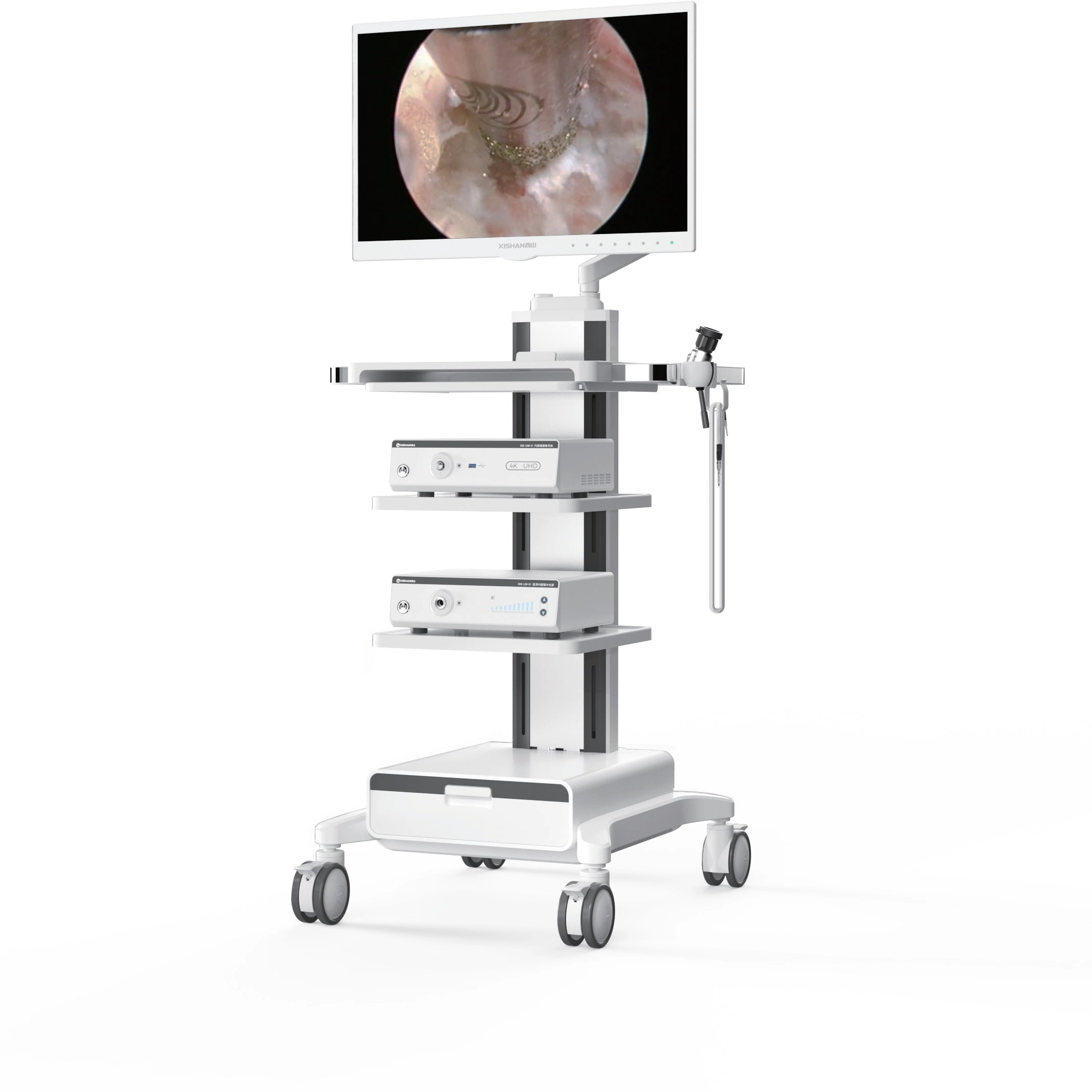 4K UHD Endoscopy System