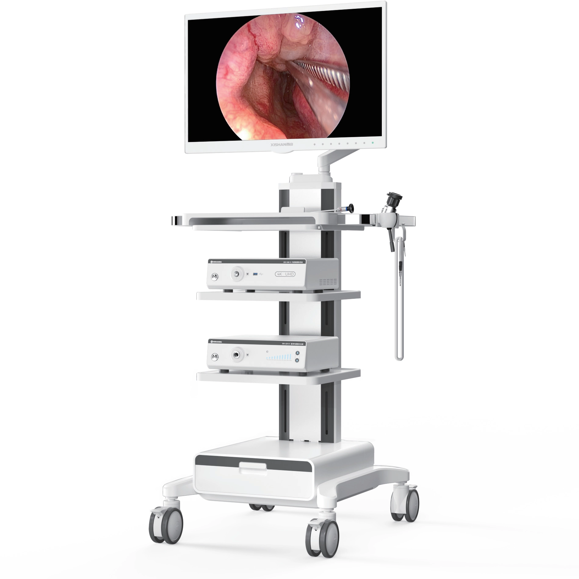 4K UHD Endoscopy System
